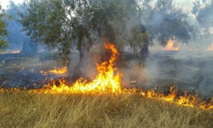 Διευκρινίσεις σχετικά με την τροποποίηση χρονικής περιόδου απαγόρευσης χρήσης πυρός 